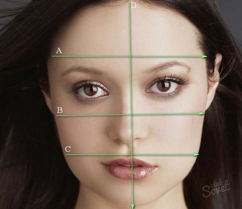 Длина лба. Длина лица. Измерения лица женщины. Разные формы лица. Типы лица у женщин.